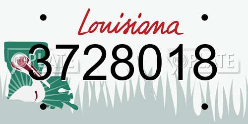 3728018 Louisiana License Plate