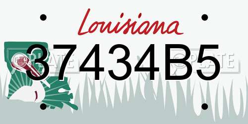 37434B5 Louisiana License Plate