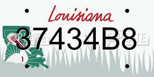 37434B8 Louisiana License Plate