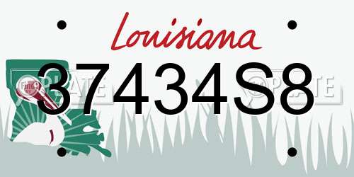 37434S8 Louisiana License Plate