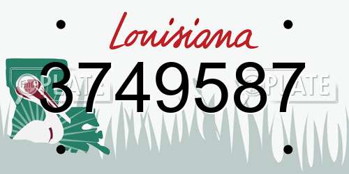 3749587 Louisiana License Plate