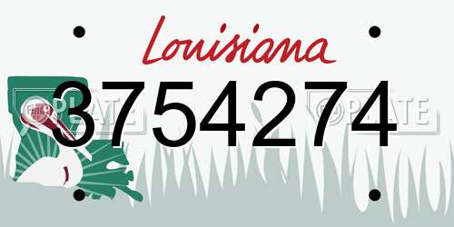 3754274 Louisiana License Plate