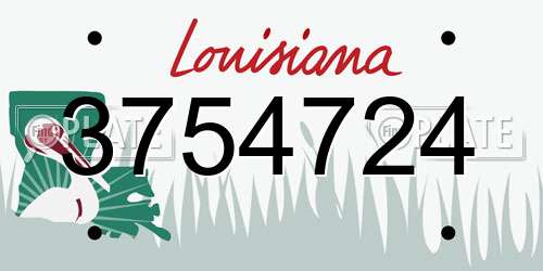 3754724 Louisiana License Plate