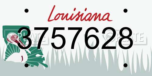 3757628 Louisiana License Plate
