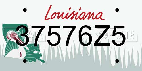 37576Z5 Louisiana License Plate