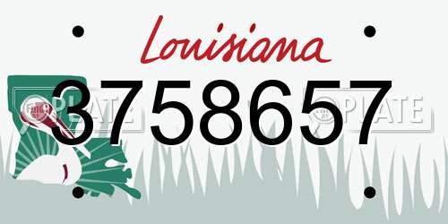 3758657 Louisiana License Plate