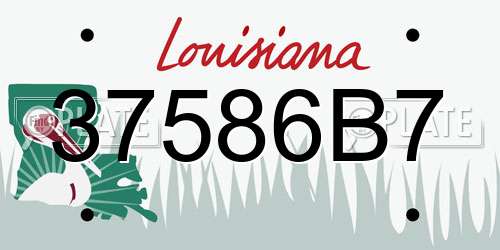 37586B7 Louisiana License Plate