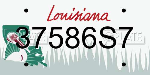 37586S7 Louisiana License Plate