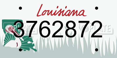 3762872 Louisiana License Plate