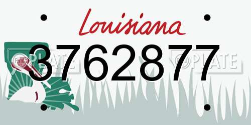 3762877 Louisiana License Plate