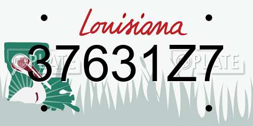 37631Z7 Louisiana License Plate