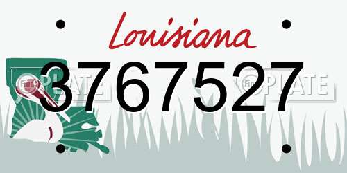 3767527 Louisiana License Plate