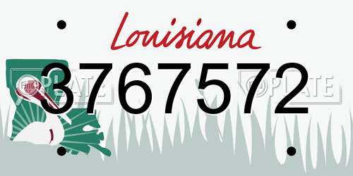 3767572 Louisiana License Plate