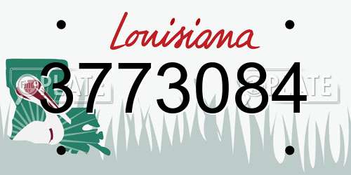 3773084 Louisiana License Plate
