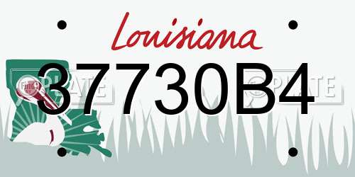 37730B4 Louisiana License Plate