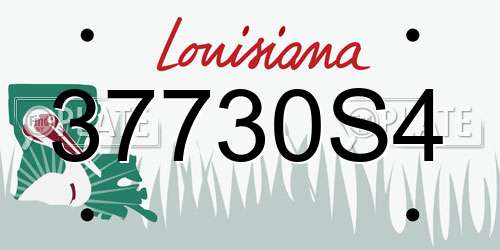 37730S4 Louisiana License Plate