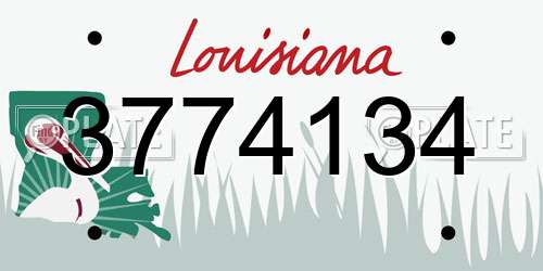 3774134 Louisiana License Plate