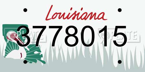 3778015 Louisiana License Plate