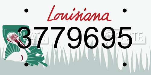 3779695 Louisiana License Plate