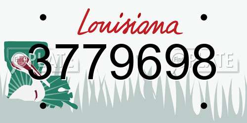 3779698 Louisiana License Plate