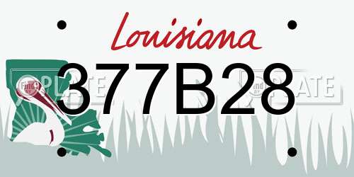 377B28 Louisiana License Plate