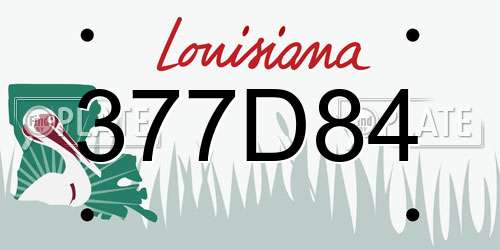 377D84 Louisiana License Plate