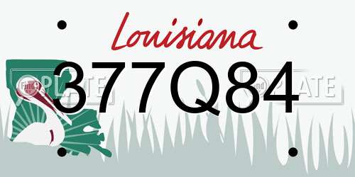 377Q84 Louisiana License Plate