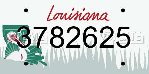 3782625 Louisiana License Plate