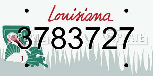 3783727 Louisiana License Plate
