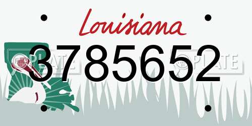3785652 Louisiana License Plate