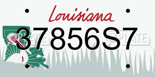 37856S7 Louisiana License Plate