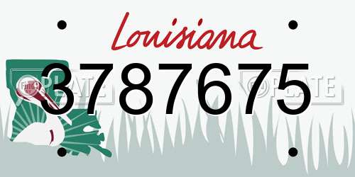 3787675 Louisiana License Plate