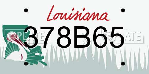 378B65 Louisiana License Plate