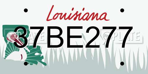 37BE277 Louisiana License Plate