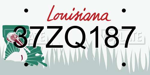 37ZQ187 Louisiana License Plate