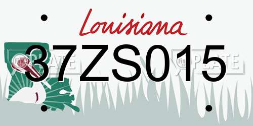 37ZS015 Louisiana License Plate