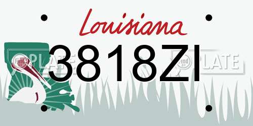 3818ZI Louisiana License Plate