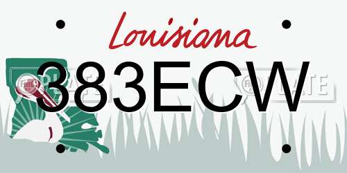 383ECW Louisiana License Plate