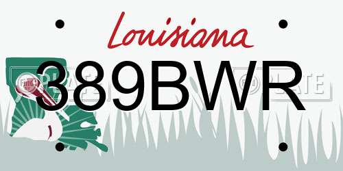 389BWR Louisiana License Plate