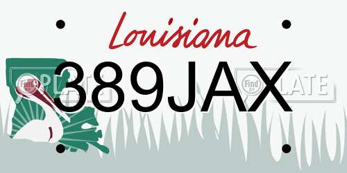 389JAX Louisiana License Plate