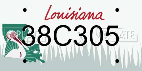 38C305 Louisiana License Plate