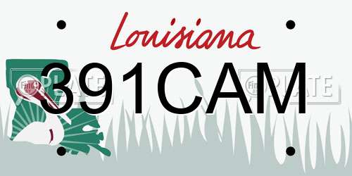 391CAM Louisiana License Plate