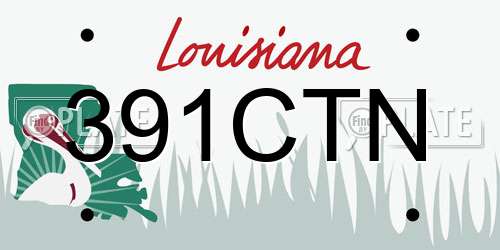 391CTN Louisiana License Plate