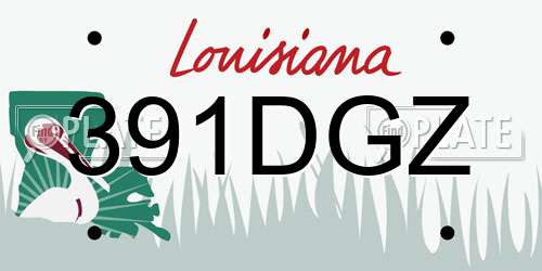 391DGZ Louisiana License Plate