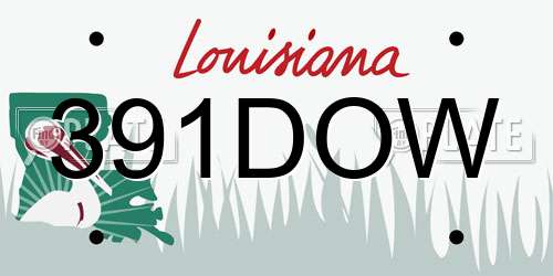 391DOW Louisiana License Plate