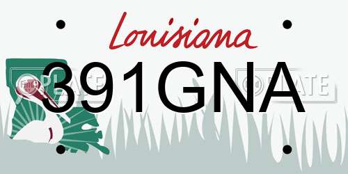 391GNA Louisiana License Plate