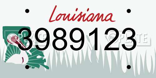 3989123 Louisiana License Plate