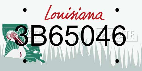 3B65046 Louisiana License Plate