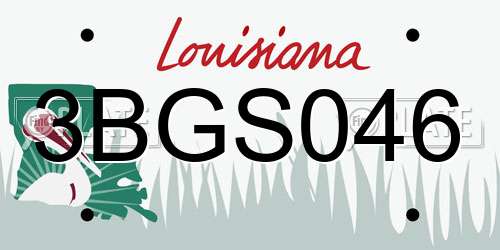 3BGS046 Louisiana License Plate