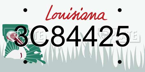 3C84425 Louisiana License Plate